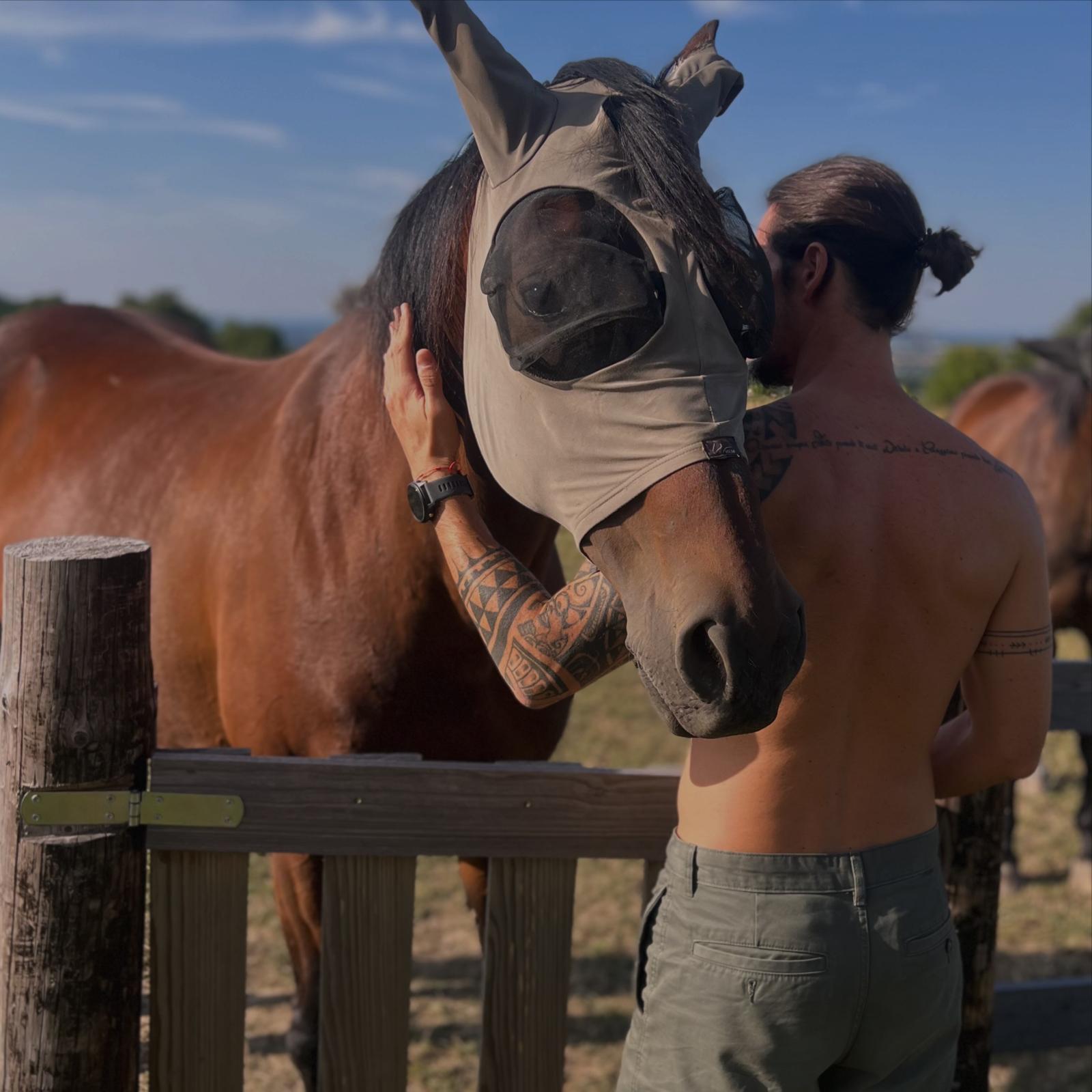Moment de contact avec un éléphant